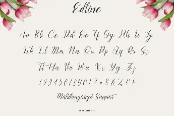 Edline Modern Calligraphy Script font