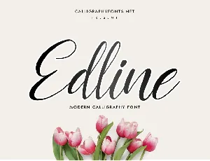 Edline Modern Calligraphy Script font