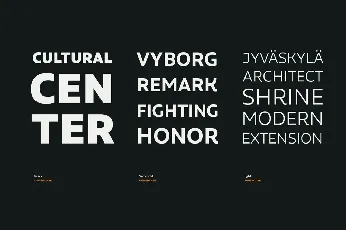 Aalto Sans Family font