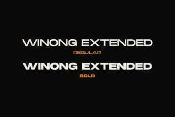 Winong Extended font