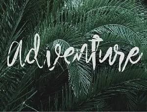 Arthard Script font