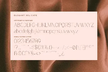 Delicate Elegance font