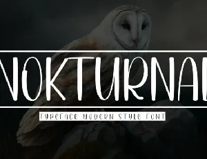 Nokturnal Display font