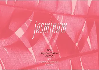 Jasminum Handwriting font