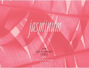 Jasminum Handwriting font