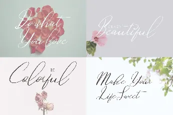 Dovetail Calligraphy Script font