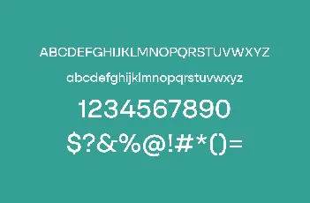 SFT Schrifted Sans Family font