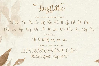 Janjitake font