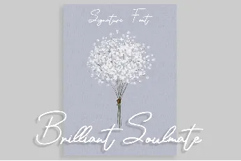 Brilliant Soulmate font