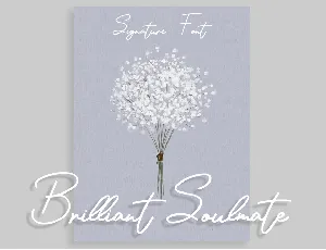 Brilliant Soulmate font