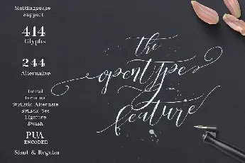 Be Grateful Script font