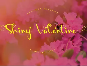 Shiny Valentine - Personal Use font