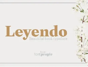 Leyendo font