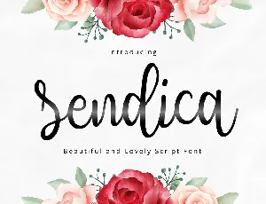 Sendica font