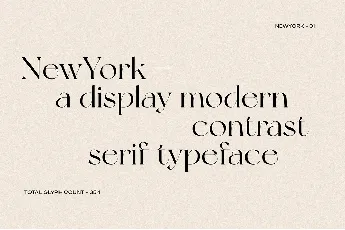 New York Modern Serif Typeface font