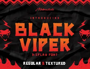 BLACK VIPER font