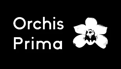 Orchis Prima Family font