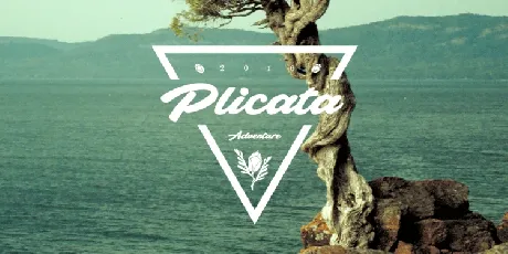 Plicata Free font