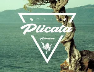 Plicata Free font