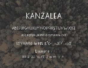 KANZALEA font