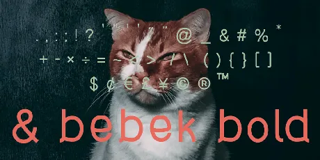 Bebek font