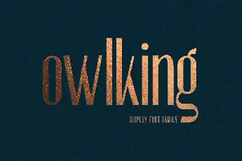 OWLKING font