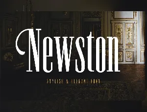 Newston Stylish Serif font