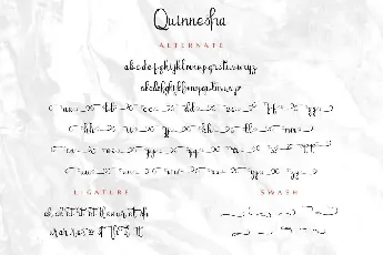 Quinneshademo font