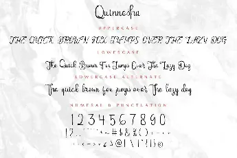 Quinneshademo font