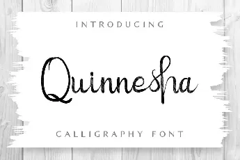 Quinneshademo font