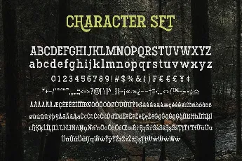 Hodgeson Calligraphy Slab Serif font