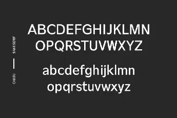 Cansu Sans Serif Family font