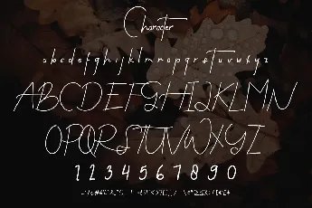 Flow Perfect Demo font