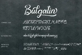 Bulgatin Script font