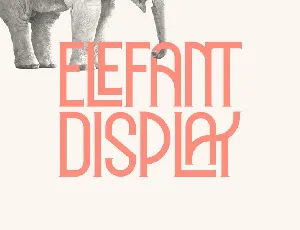 Elephant Display font