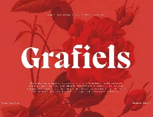 Grafiels font