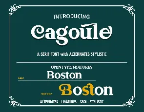 Cagoule DEMO font