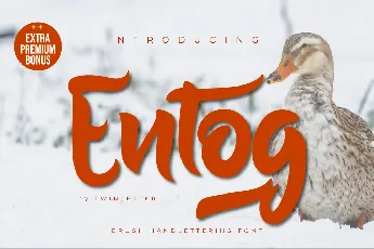 Entog font