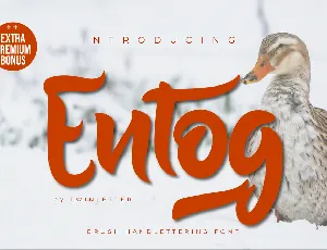 Entog font