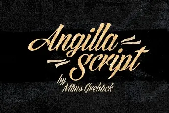 Angilla Bold Script font