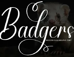 Badgers Script font