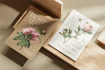 Beauty Rovesa font