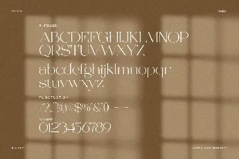 Beauty Rovesa font