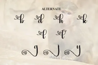 Monkey Calligraphy font