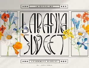 Lapania sweet font