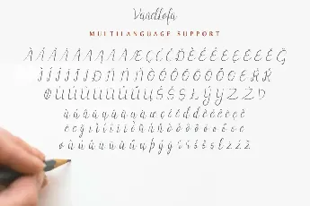 Vanellofa Demo font