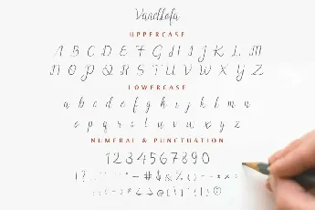 Vanellofa Demo font