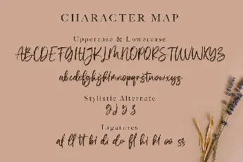 Vivy Aquilla font