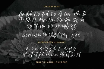 Cassana Rustine Demo font