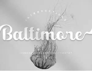 Baltimore Script font